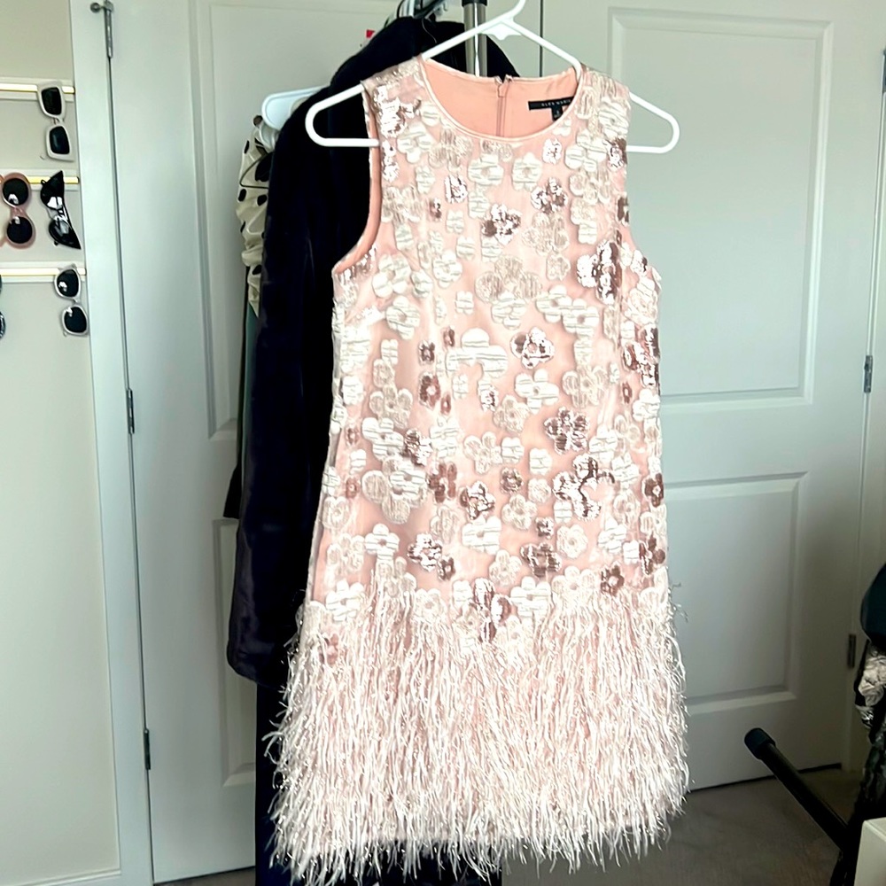 NWOT ALEX MARIE SHIFT JACQUARD DRESS, Size 2